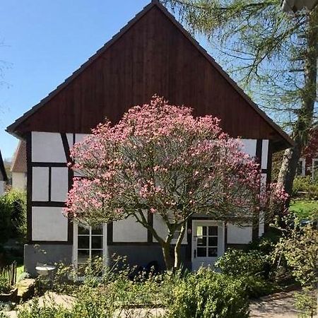 Gemuetliches Ferienhaus Im Extertal/ Lippe 외부 사진