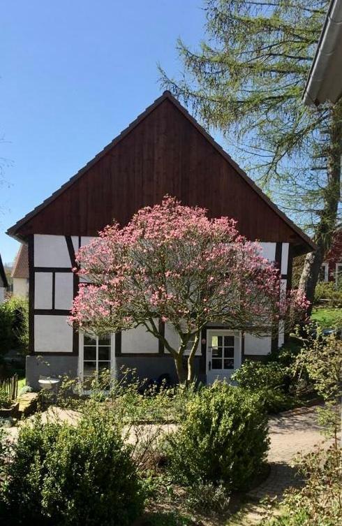 Gemuetliches Ferienhaus Im Extertal/ Lippe 외부 사진