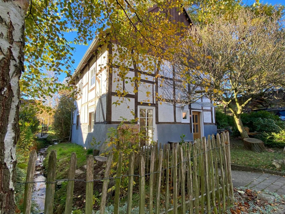 Gemuetliches Ferienhaus Im Extertal/ Lippe 외부 사진
