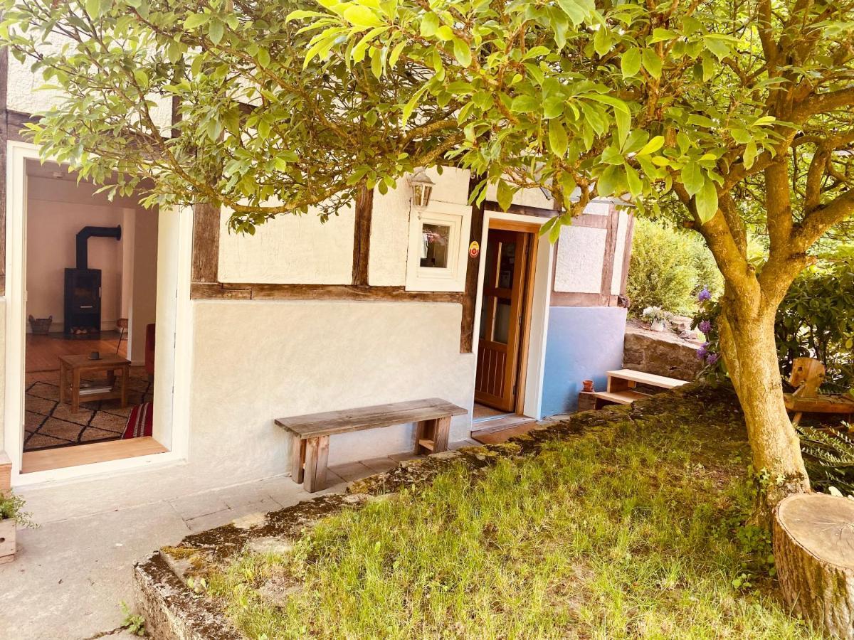 Gemuetliches Ferienhaus Im Extertal/ Lippe 외부 사진