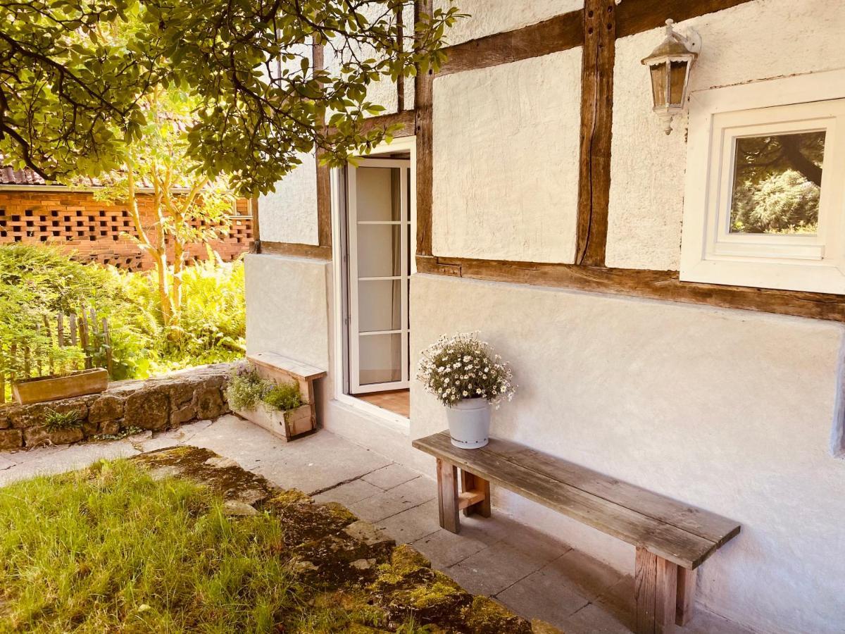 Gemuetliches Ferienhaus Im Extertal/ Lippe 외부 사진
